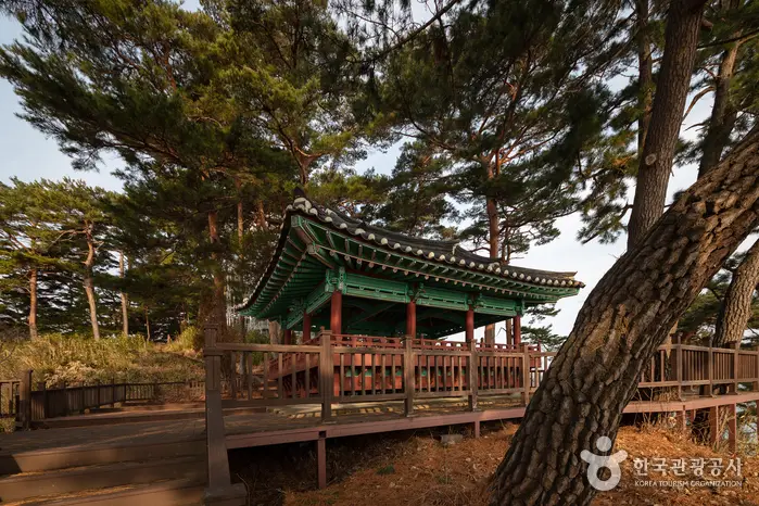 죽도정·죽도 전망대 · 관광지