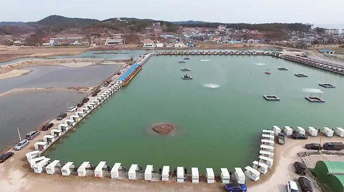 영흥바다낚시터 · 레포츠
