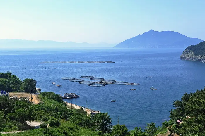 도동해변 · 관광지