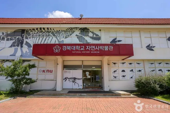 경북대학교자연사박물관 · 문화시설