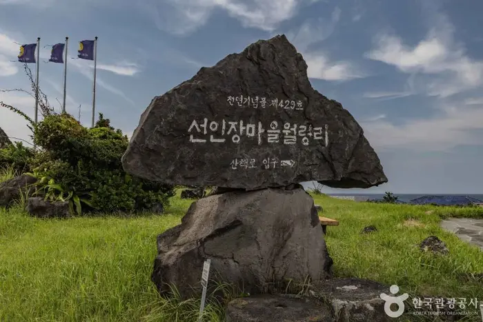 제주선인장마을 · 관광지