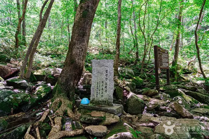데미샘 · 관광지