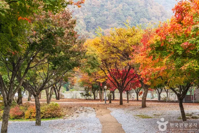 월악오토캠핑장 · 레포츠