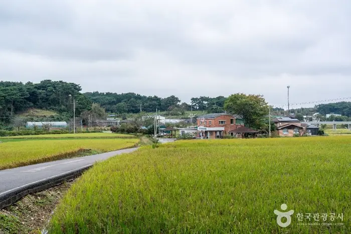 서산 회포마을 · 관광지