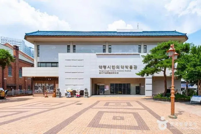 대구 약령시 한의약박물관 · 관광지
