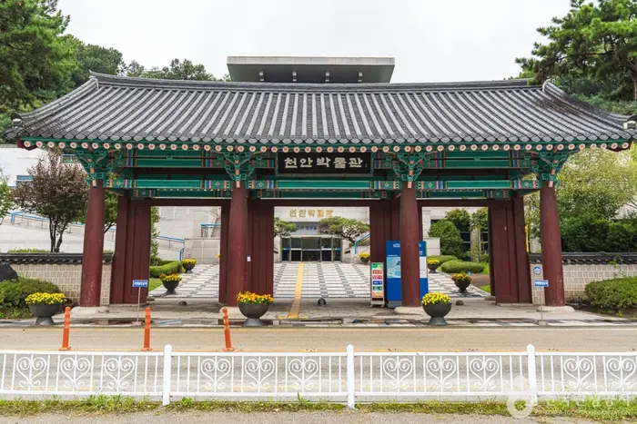 천안박물관 · 문화시설