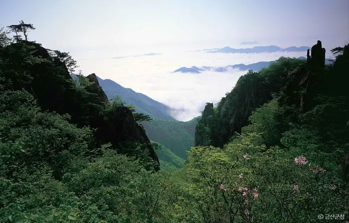 대둔산도립공원(금산) · 관광지
