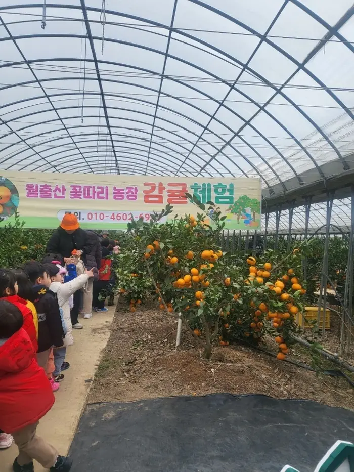농업회사법인주식회사 월출산꽃따리농장 · 관광지