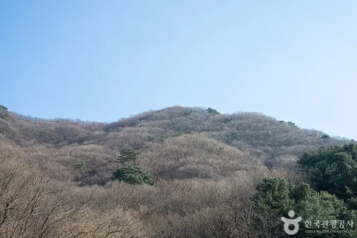 축령산 · 관광지