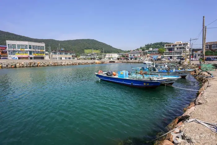 월전포구(월전방파제) · 관광지
