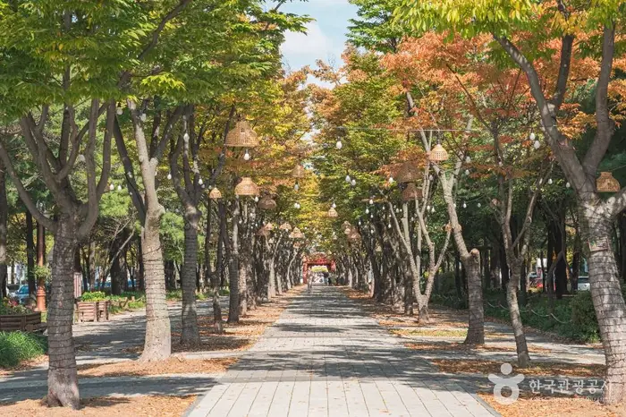 보라매공원(대전) · 관광지