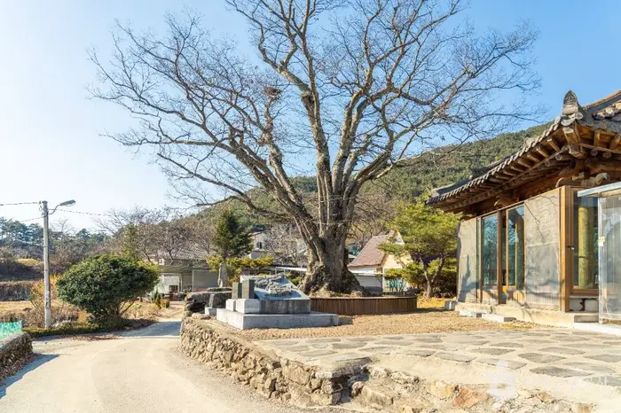 노치마을 · 관광지