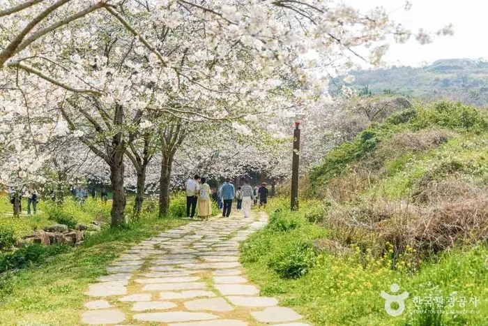 대왕수천예래생태공원 · 관광지