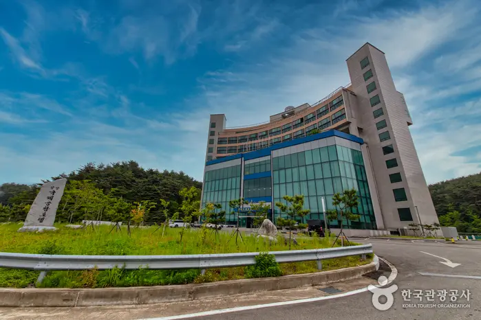 양양국제공항호텔 · 숙박