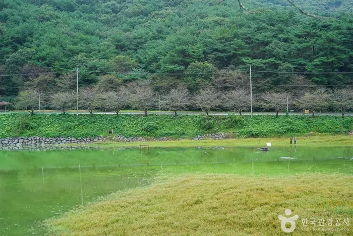 고남 저수지 · 관광지