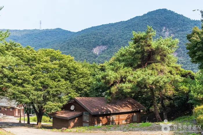 봉황자연휴양림 · 관광지