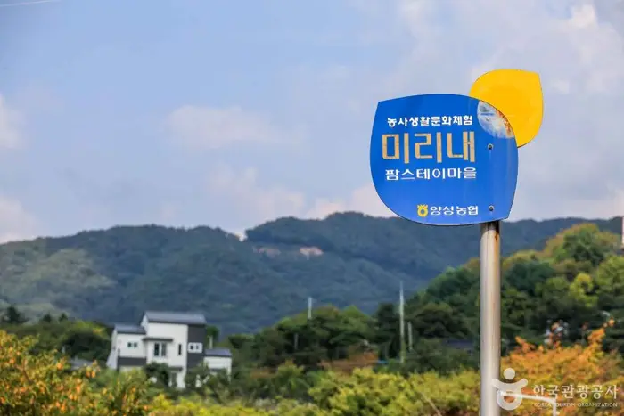 안성 미리내마을 · 관광지