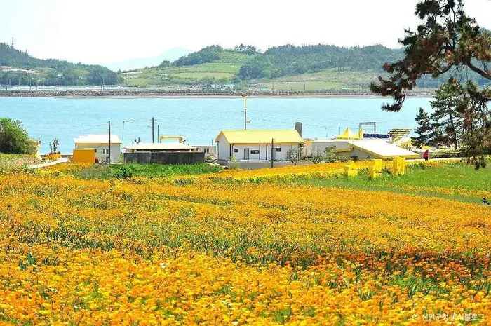 선도 · 관광지