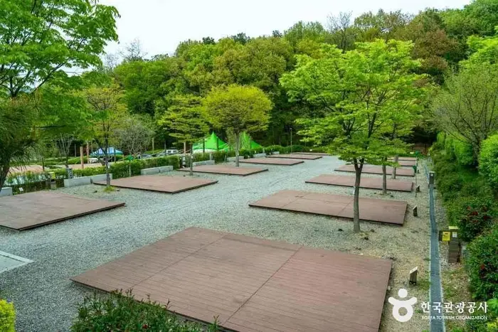 초막골생태공원느티나무야영장 · 레포츠