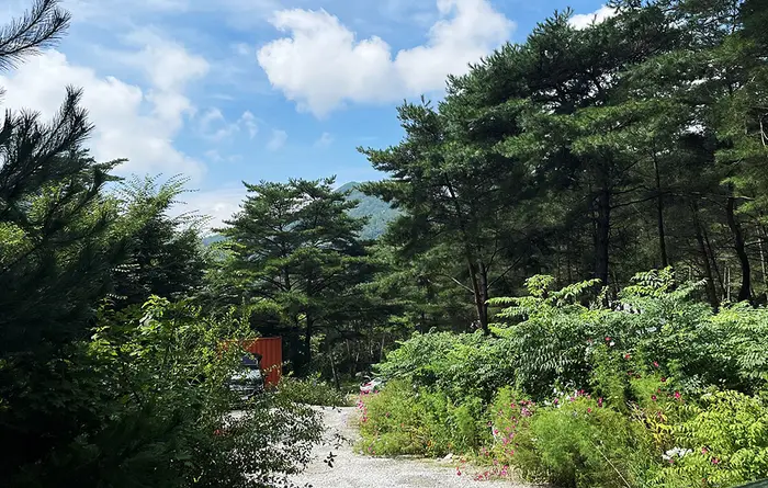 별빛캠핑장 · 레포츠