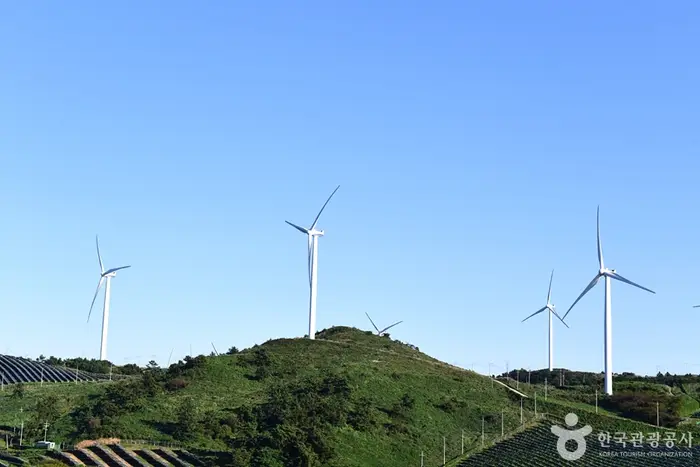 활성산 풍력발전단지 · 관광지