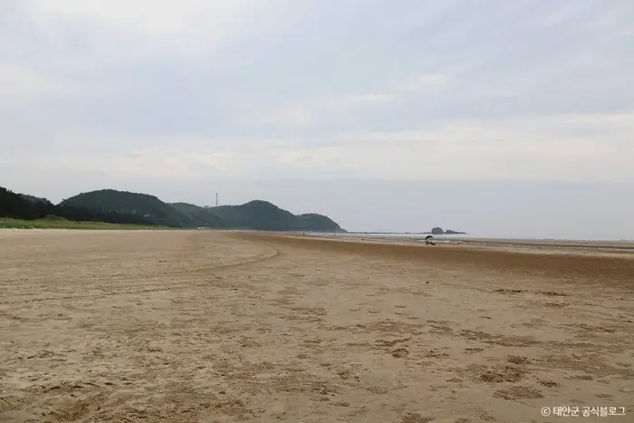 안면해수욕장 · 관광지