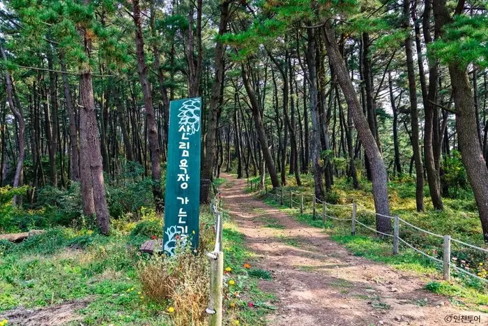 승봉산림욕장 · 관광지