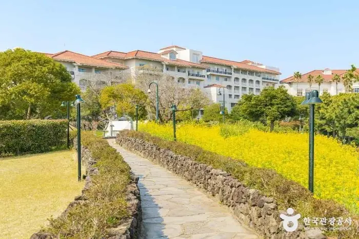 쉬리의언덕 · 관광지
