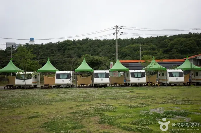 대부도캠핑시티 · 레포츠