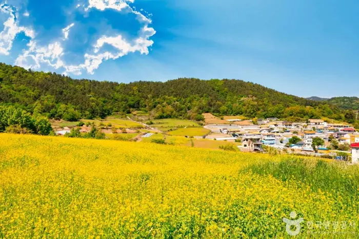 선학동 마을 · 관광지