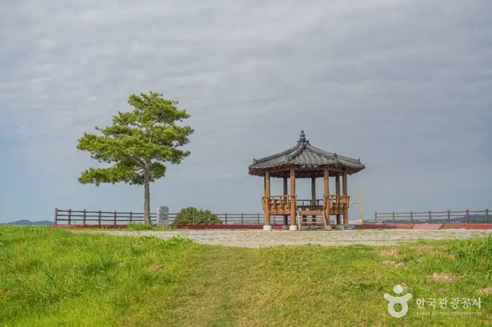 새만금 광역탐방로 · 레포츠