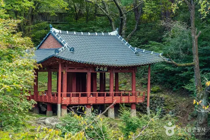 용연정 · 관광지