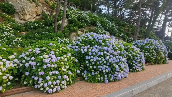 저구마을 · 관광지