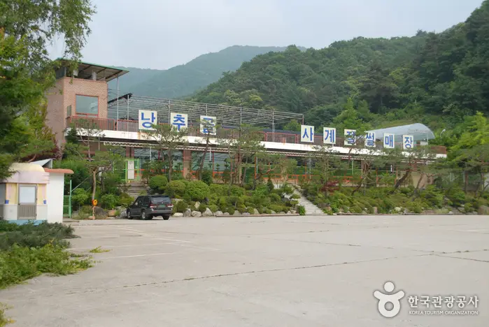 낭추골현장체험학습원 눈썰매장 · 레포츠