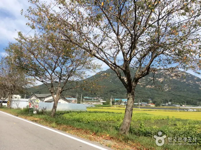 용봉산체험 정보화마을 · 관광지