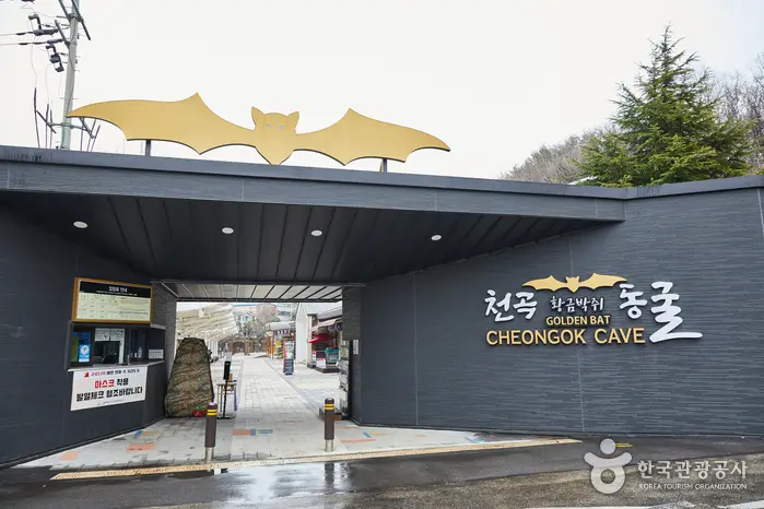 천곡황금박쥐동굴 · 관광지