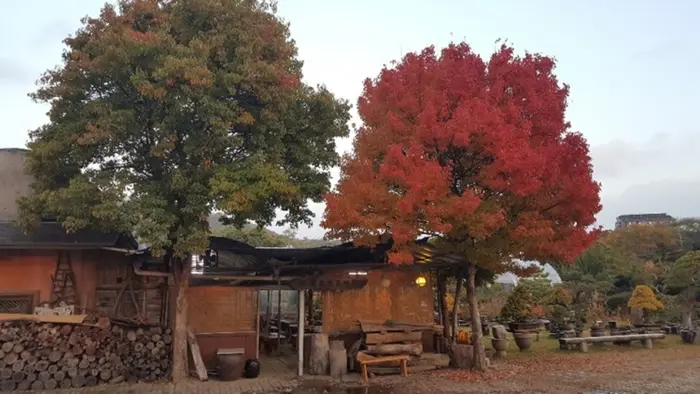 화전분재예술원 · 음식점
