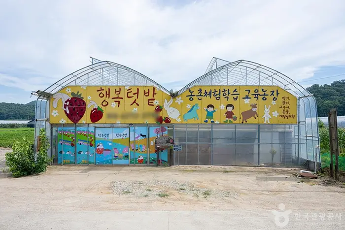 행복텃밭 · 관광지