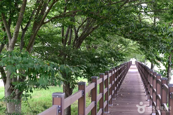 화순동복연둔리숲정이 · 관광지