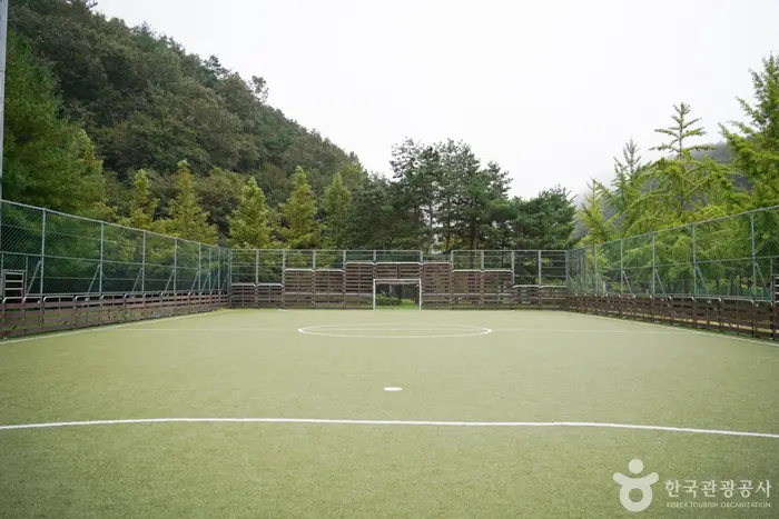 화랑체육공원 · 관광지