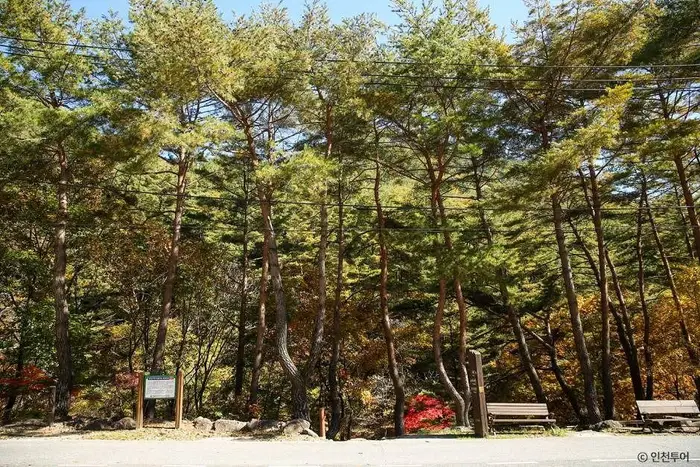 국립 가리왕산자연휴양림 · 관광지