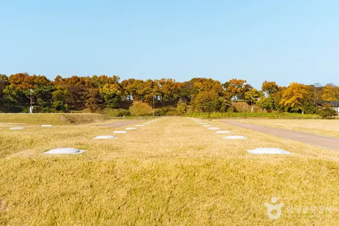 경주 인왕동 사지 · 관광지