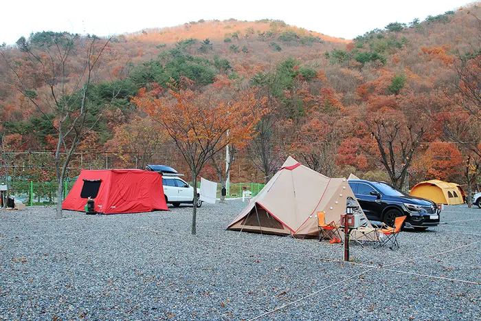 용천토리오토캠핑장 · 레포츠