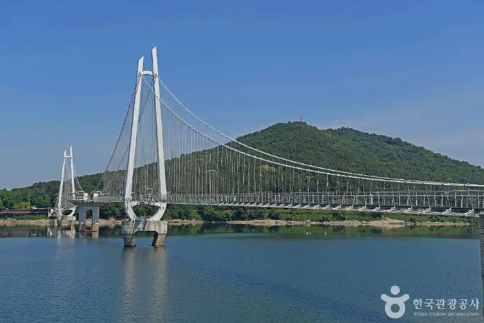 논산 탑정호 출렁다리 · 관광지