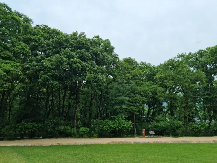 헌인릉 생태경관보전지역(오리나무림) · 관광지