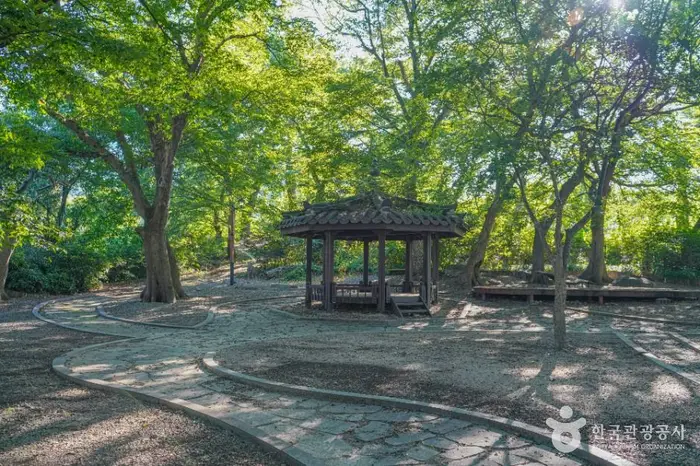 용전숲 · 관광지