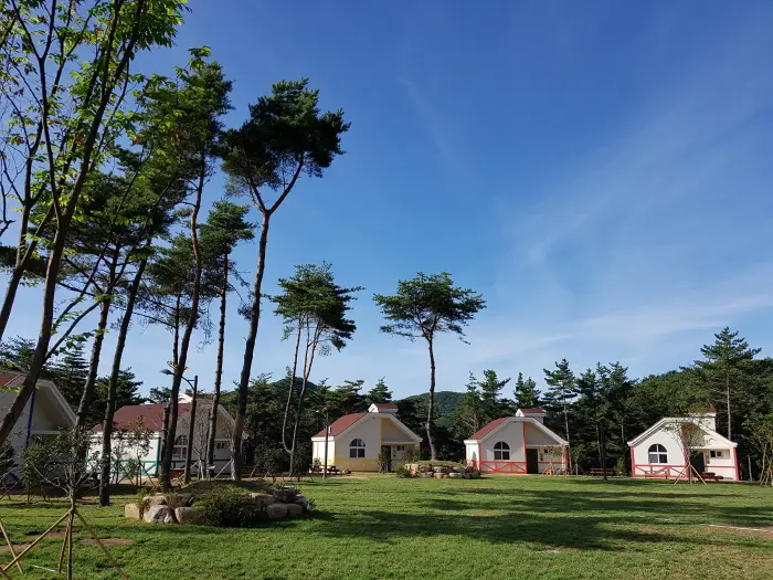 국립 달음산자연휴양림 · 관광지