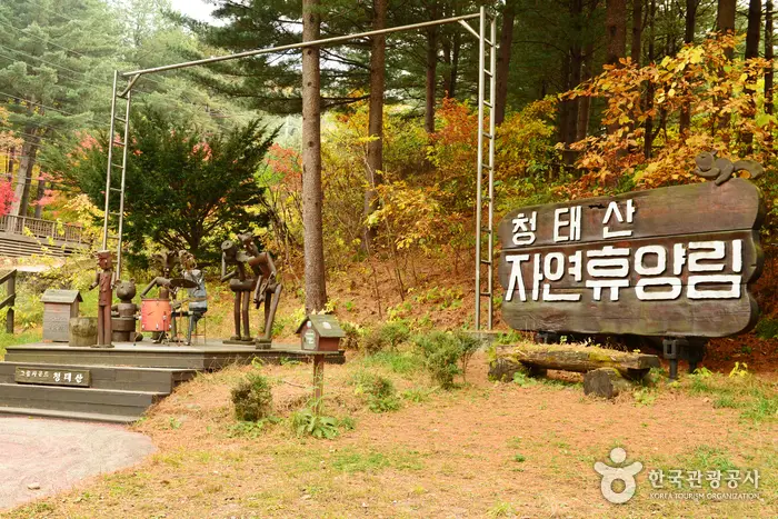 국립 청태산자연휴양림 · 관광지
