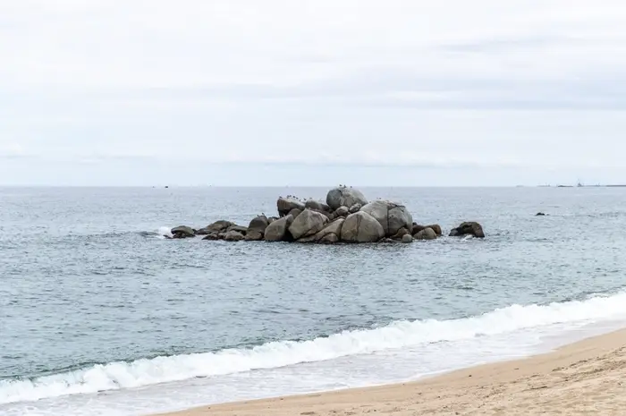 사천해변(사천해수욕장) · 관광지