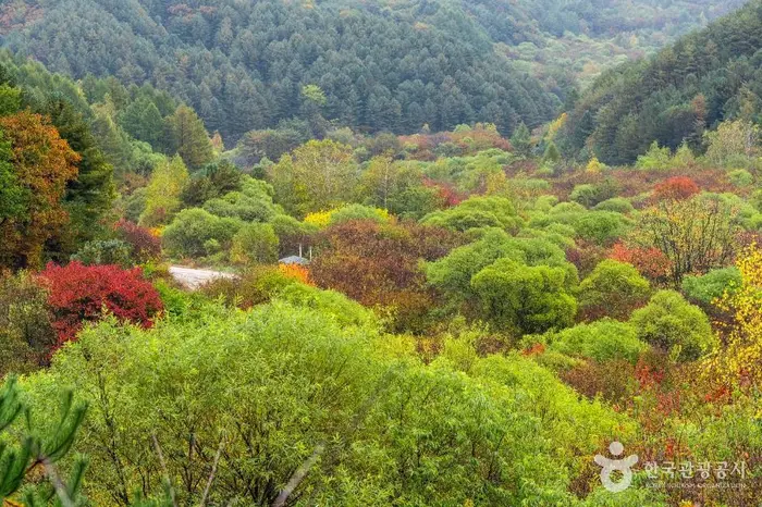 비밀의정원 · 관광지